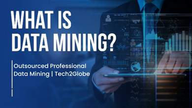 Tech2globe trained data mining experts are able to efficiently search and extract data from thousands of online sources such as social media sites, google, ...